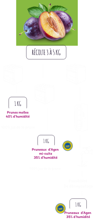 Nos différentes recettes